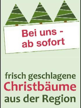 Christbäume 2024 (ab sofort)-001