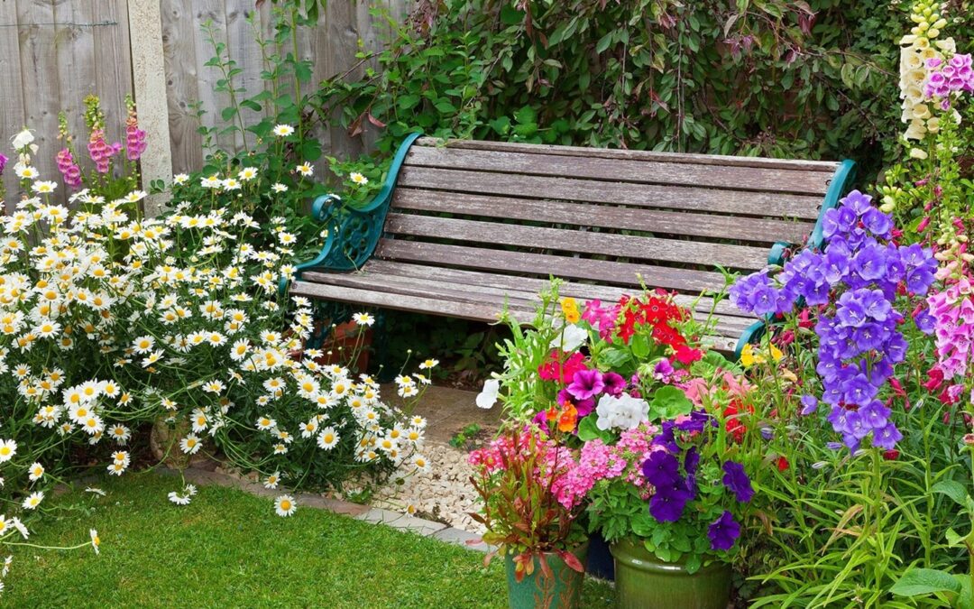 Balkon und Terrasse rufen: Jetzt schöne Pflanzen aussuchen