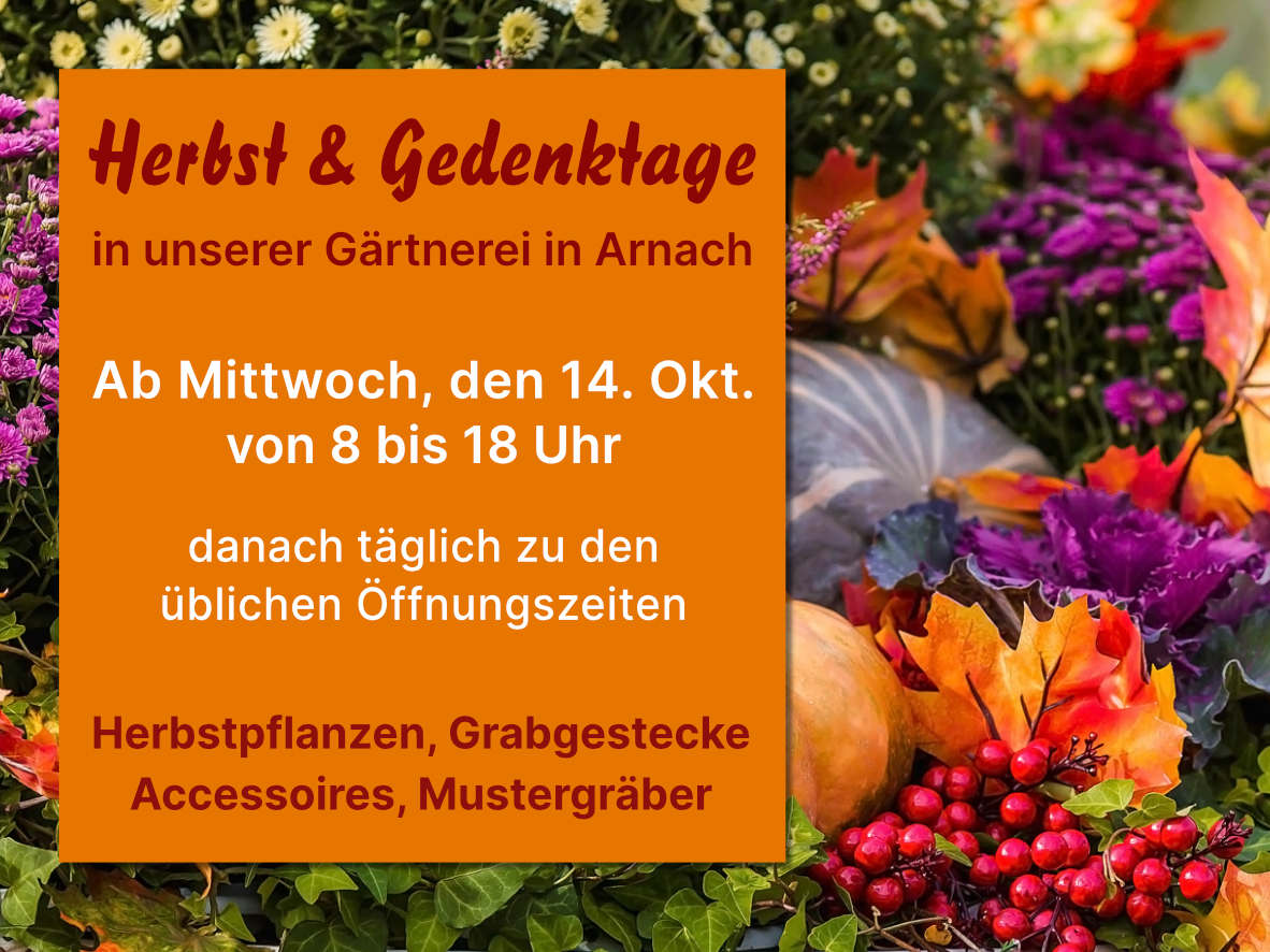 2024 Grad Herbst&Gedenken Anzeige 3zu4 WEB in RGB
